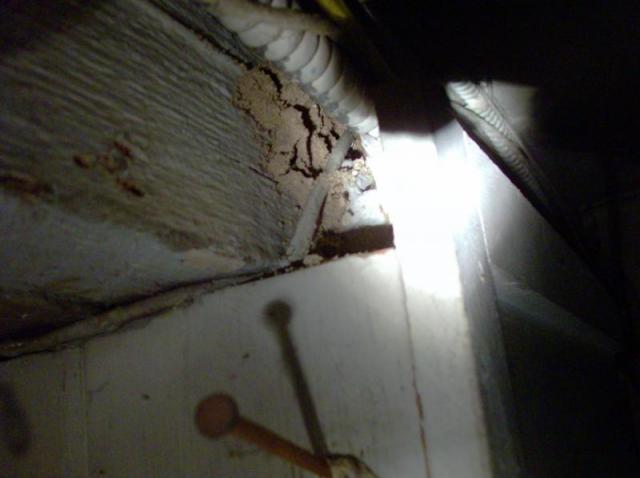 Very Well Hidden Termite evidence.