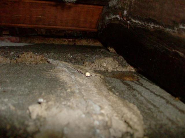 Only if you go through the attic will you see this. Chimney leaking!